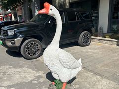 -巢湖名吃·东关老鹅汤(江南风情街店)