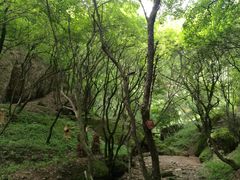 -玉华宫景区