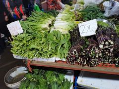 -树木岭集贸市场(劳动东路)