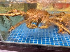-天鲜阁·海鲜粤菜·33年老字号(石槎白云站店)