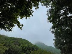 -大连天门山国家森林公园