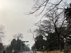 -八大关景区