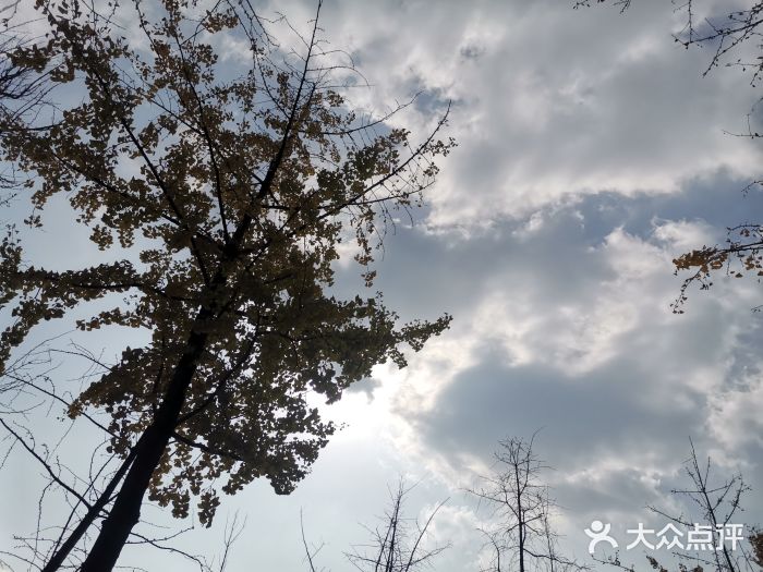 重庆中央公园(渝北区)图片