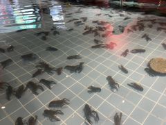-虾胡闹龙虾馆(湄南河店)