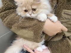 -艾贝尔宠物医院 ·内科全科(梁溪路店)