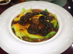 -姚林轩