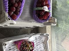 -马陆小张葡萄园农家乐