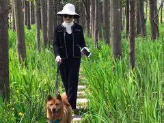 -上海长兴岛郊野公园