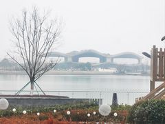 -东方美谷JW万豪酒店·The lounge大堂吧