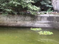 -北京上方山国家森林公园