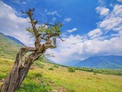 -石棉县孟获城