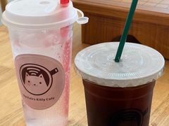 -楼上猫咖(罗湖店)
