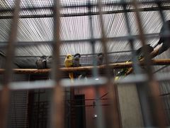 -观桥阁(锦溪店)