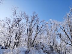 -中旅松花湖滑雪场