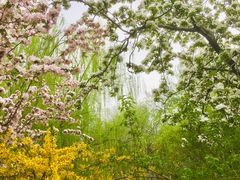 -元大都城垣遗址公园