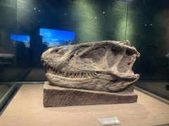 -自贡恐龙博物馆