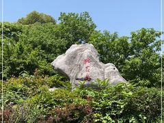 -桃花岛景观公园