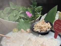 加拿大象拔蚌-協成海鮮火鍋(老店)