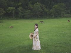 -武陵山森林公园