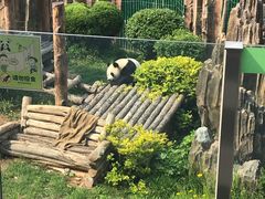 -大连森林动物园