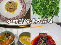 -新光酒家·河豚·海鲜·蟹料理(浦东店)