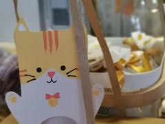 -猫里有甜