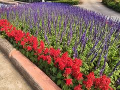 -广州莲花山旅游区