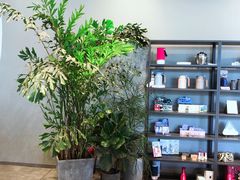 -dotcom coffee古点咖啡(致真大厦店)