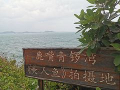 -杨梅坑