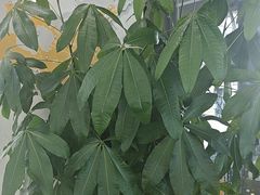 -千米手机电脑维修回收(松江泗泾店)