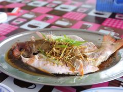 港式蒸鱼（红鱼）-兴旺海鲜砂煲王