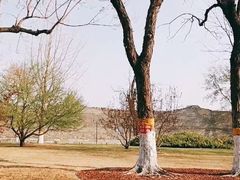 -北京明城墙遗址公园