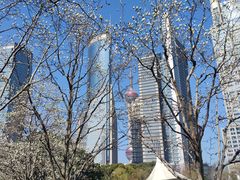 -陆家嘴中心绿地