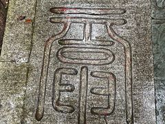 -广西壮族自治区药用植物园