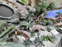 -国家自然博物馆