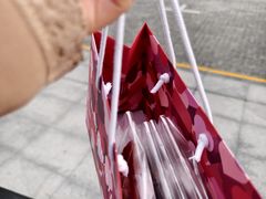 -Laderach 莱德拉(上海环贸iapm店)