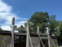 -苏州文庙(姑苏区)