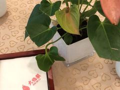 -大鸭梨(天通西苑店)