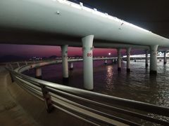-演武大桥观景平台