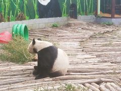 -南昌动物园