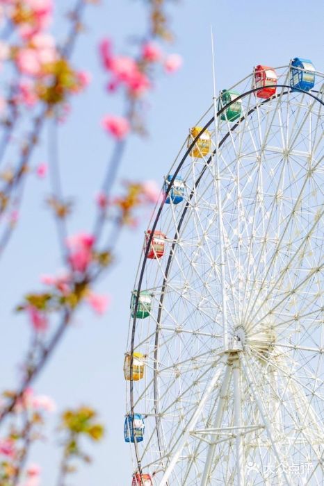 观澜湖生态运动公社图片