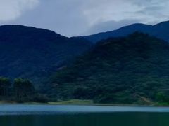 -广州市流溪河国家森林公园
