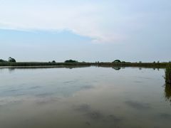 -盐城丹顶鹤湿地生态旅游区