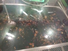-鸿运兔·手撕烤兔(天府广场店)