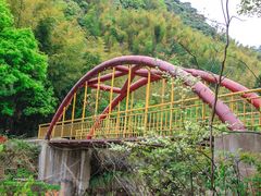 -黄山翡翠谷景区