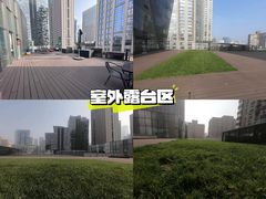-百好乐宠物友好餐厅(朝外大街店)