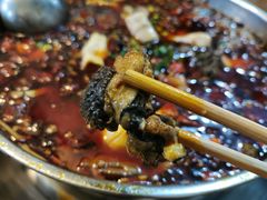 -黑竹香鸡(营和巷店)