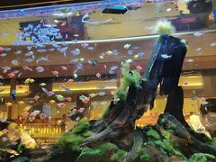 -大江户·温泉洗浴(浑南店)