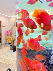 -新蝶变皮肤管理中心