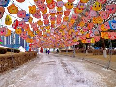 -沈阳奥体冰雪嘉年华